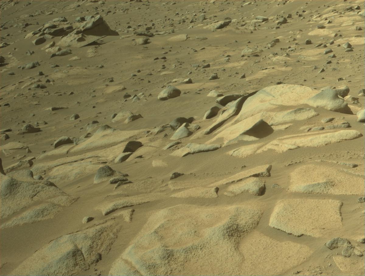 This image was taken by NAVCAM_RIGHT onboard NASA's Mars rover Perseverance on Sol 1021