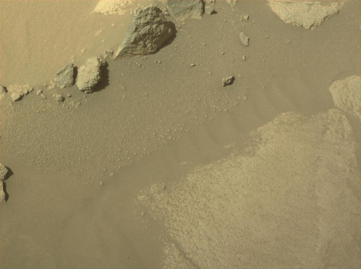 This image was taken by NAVCAM_RIGHT onboard NASA's Mars rover Perseverance on Sol 1021