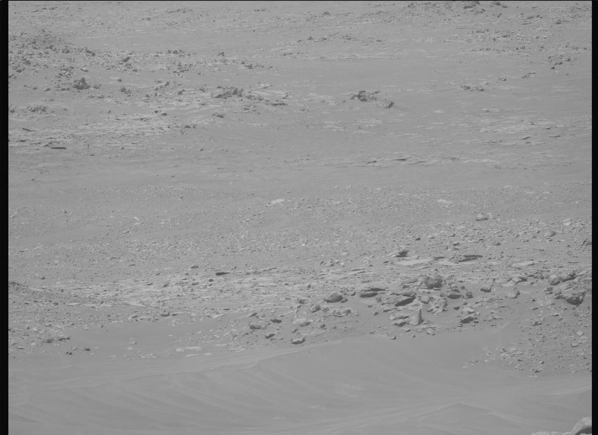 This image was taken by MCZ_LEFT onboard NASA's Mars rover Perseverance on Sol 1021