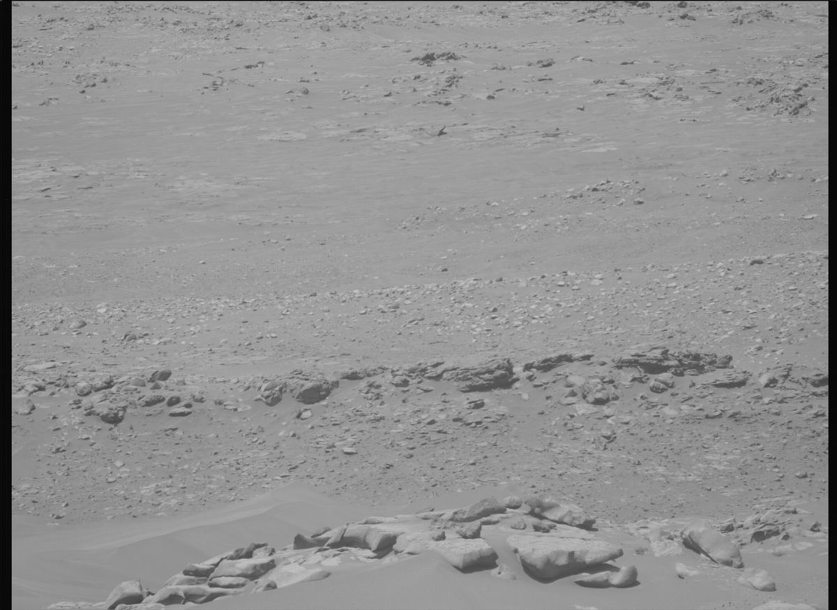 This image was taken by MCZ_LEFT onboard NASA's Mars rover Perseverance on Sol 1021