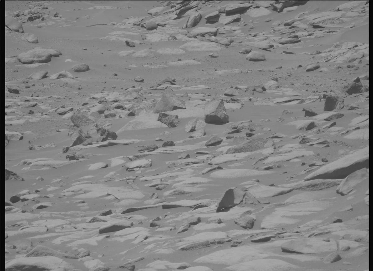 This image was taken by MCZ_LEFT onboard NASA's Mars rover Perseverance on Sol 1021