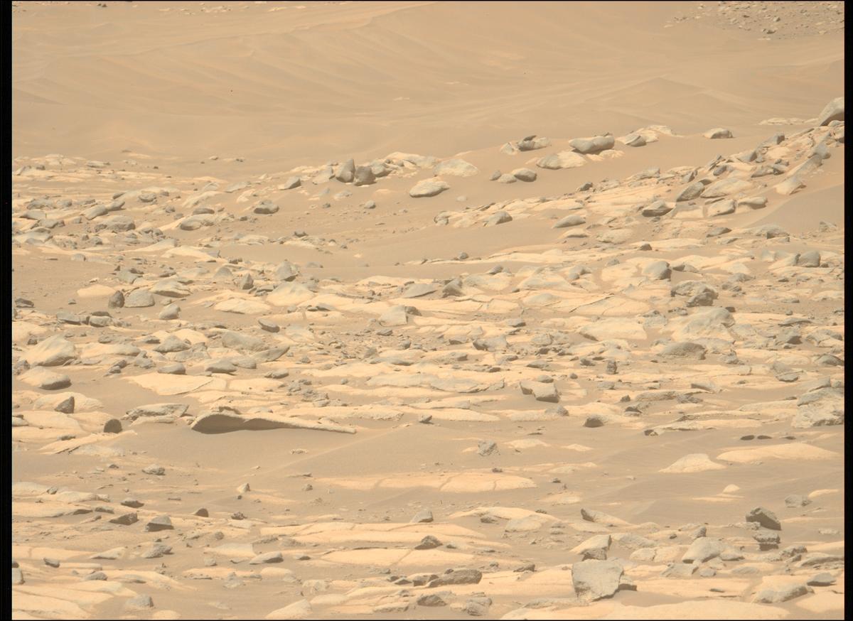This image was taken by MCZ_LEFT onboard NASA's Mars rover Perseverance on Sol 1021