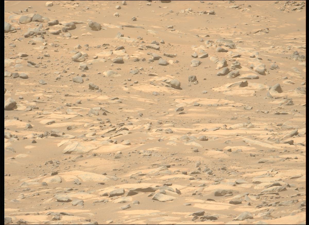 This image was taken by MCZ_LEFT onboard NASA's Mars rover Perseverance on Sol 1021
