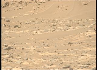 View image taken on Mars, Mars Perseverance Sol 1021: Left Mastcam-Z Camera