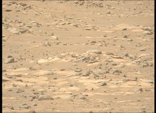View image taken on Mars, Mars Perseverance Sol 1021: Left Mastcam-Z Camera