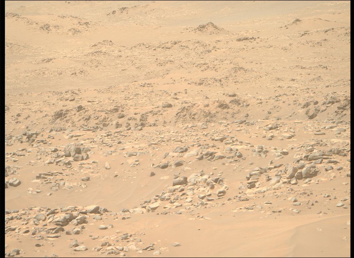This image was taken by MCZ_RIGHT onboard NASA's Mars rover Perseverance on Sol 1021