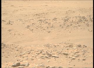 View image taken on Mars, Mars Perseverance Sol 1021: Right Mastcam-Z Camera