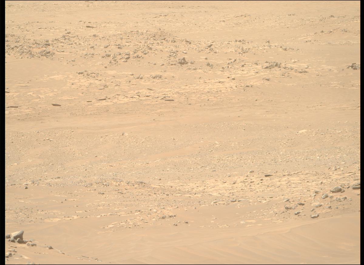 This image was taken by MCZ_RIGHT onboard NASA's Mars rover Perseverance on Sol 1021