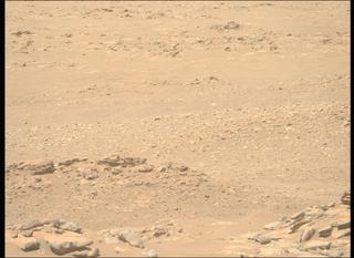 View image taken on Mars, Mars Perseverance Sol 1021: Right Mastcam-Z Camera