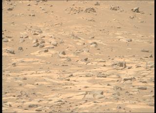 View image taken on Mars, Mars Perseverance Sol 1021: Right Mastcam-Z Camera