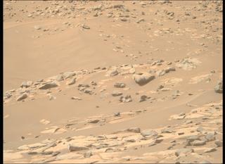 View image taken on Mars, Mars Perseverance Sol 1021: Right Mastcam-Z Camera