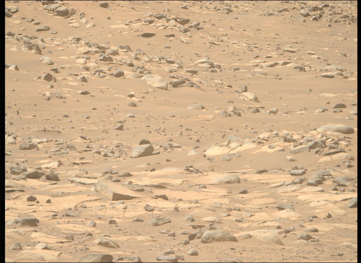 This image was taken by MCZ_RIGHT onboard NASA's Mars rover Perseverance on Sol 1021