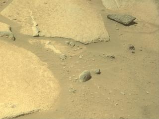 View image taken on Mars, Mars Perseverance Sol 1024: Left Navigation Camera (Navcam)