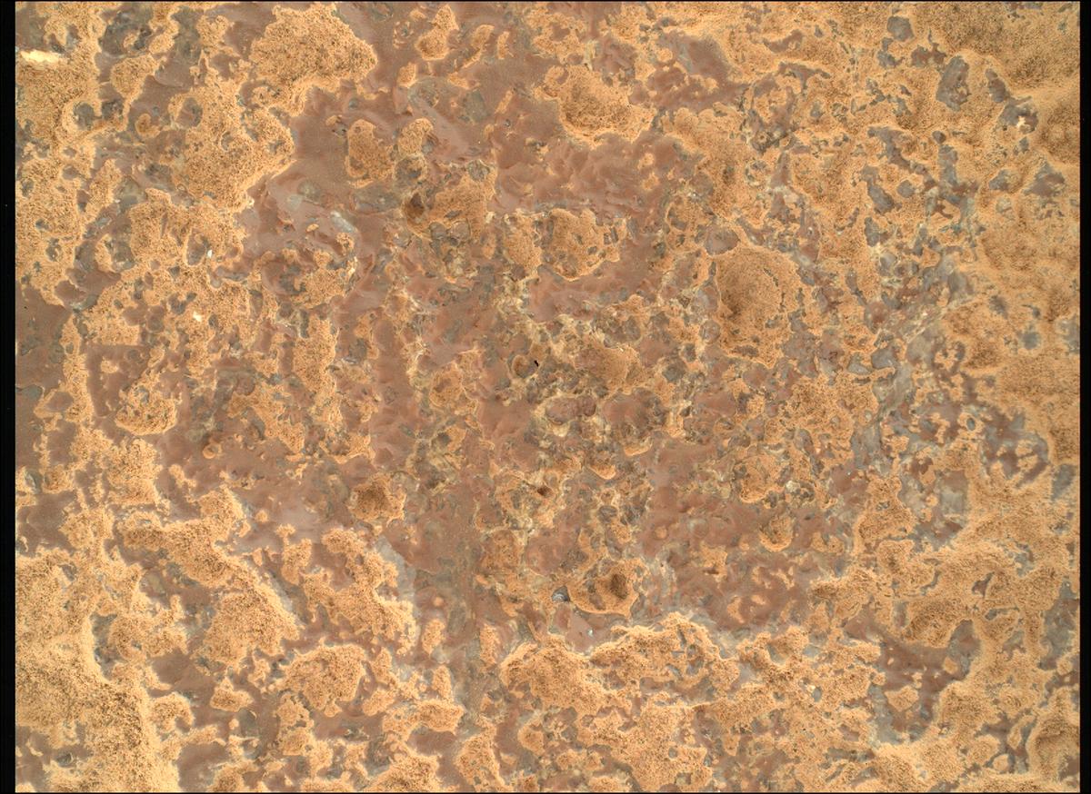 This image was taken by SHERLOC_WATSON onboard NASA's Mars rover Perseverance on Sol 1024