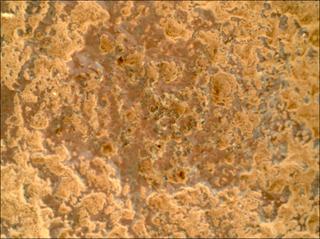 View image taken on Mars, Mars Perseverance Sol 1024: WATSON Camera 