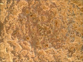 View image taken on Mars, Mars Perseverance Sol 1024: WATSON Camera 