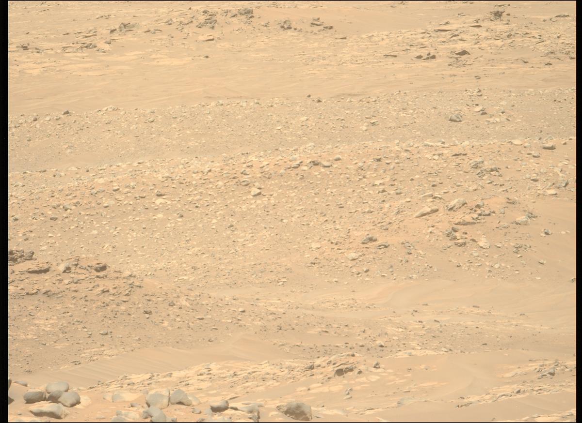 This image was taken by MCZ_LEFT onboard NASA's Mars rover Perseverance on Sol 1024