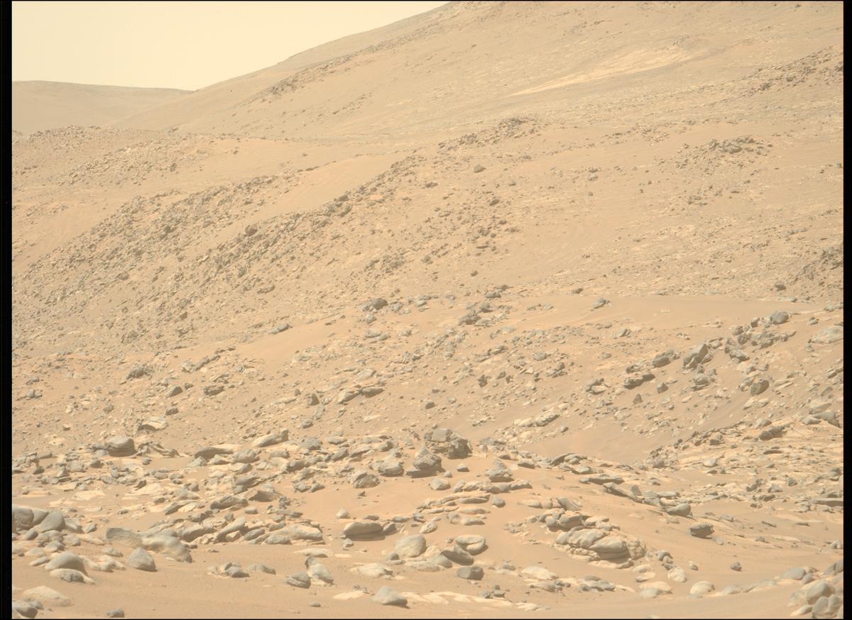 This image was taken by MCZ_LEFT onboard NASA's Mars rover Perseverance on Sol 1024