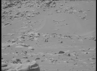 View image taken on Mars, Mars Perseverance Sol 1024: Left Mastcam-Z Camera