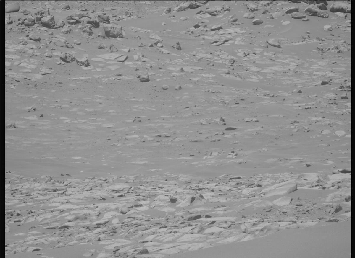This image was taken by MCZ_LEFT onboard NASA's Mars rover Perseverance on Sol 1024