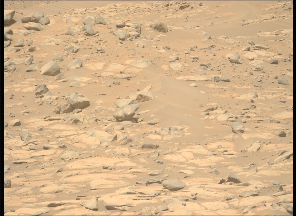 This image was taken by MCZ_LEFT onboard NASA's Mars rover Perseverance on Sol 1024