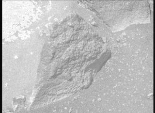 View image taken on Mars, Mars Perseverance Sol 1027: Right Mastcam-Z Camera