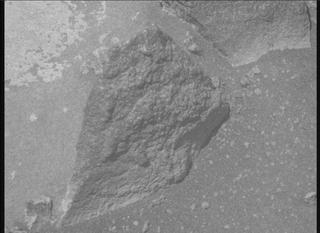 View image taken on Mars, Mars Perseverance Sol 1027: Right Mastcam-Z Camera