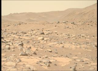View image taken on Mars, Mars Perseverance Sol 1028: Right Mastcam-Z Camera