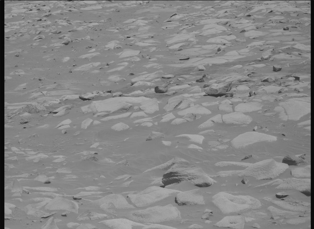 This image was taken by MCZ_RIGHT onboard NASA's Mars rover Perseverance on Sol 1028
