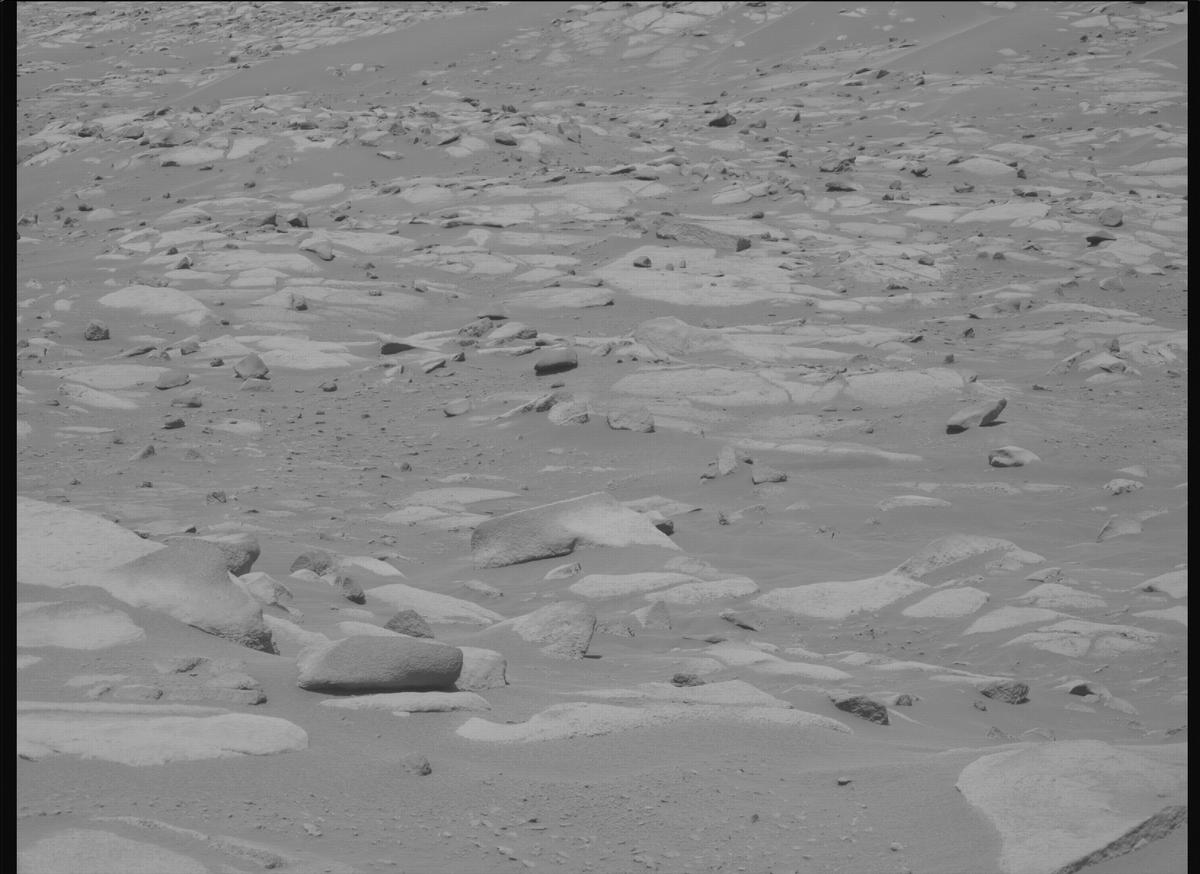 This image was taken by MCZ_RIGHT onboard NASA's Mars rover Perseverance on Sol 1028