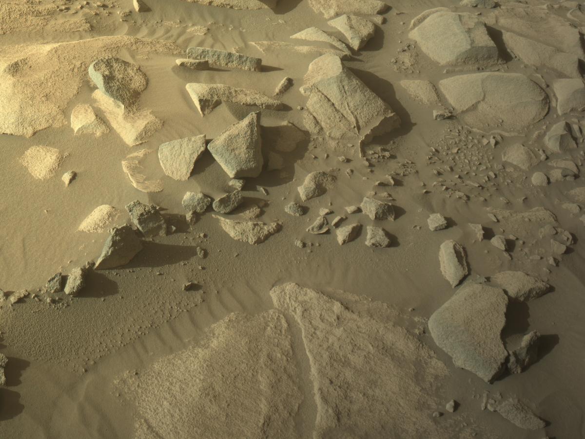 This image was taken by NAVCAM_RIGHT onboard NASA's Mars rover Perseverance on Sol 1032