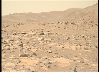 View image taken on Mars, Mars Perseverance Sol 1032: Right Mastcam-Z Camera