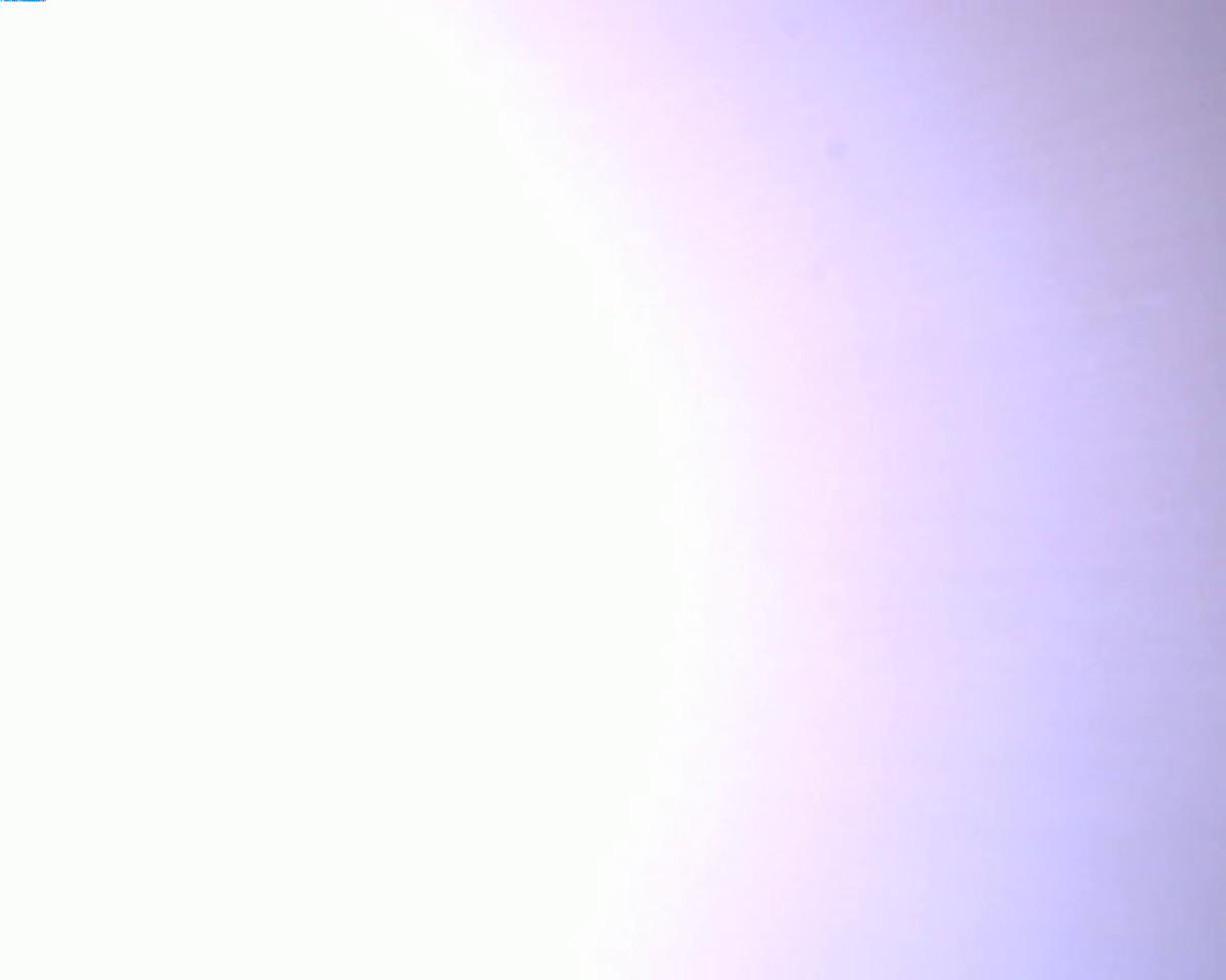 This image was taken by EDL_RUCAM onboard NASA's Mars rover Perseverance on Sol 1035