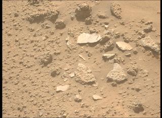 View image taken on Mars, Mars Perseverance Sol 1035: Left Mastcam-Z Camera