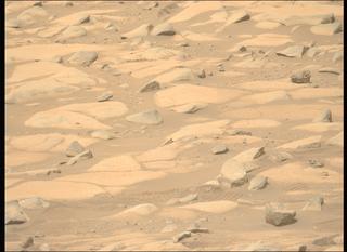View image taken on Mars, Mars Perseverance Sol 1035: Left Mastcam-Z Camera