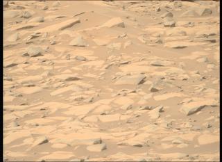 View image taken on Mars, Mars Perseverance Sol 1035: Right Mastcam-Z Camera