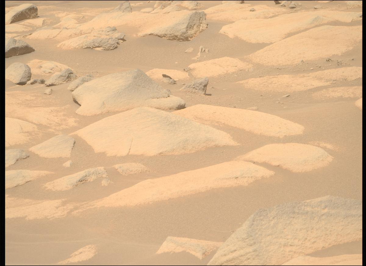This image was taken by MCZ_RIGHT onboard NASA's Mars rover Perseverance on Sol 1035