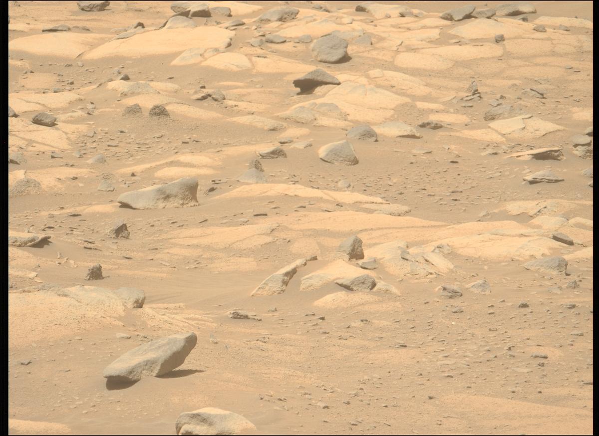 This image was taken by MCZ_LEFT onboard NASA's Mars rover Perseverance on Sol 1037