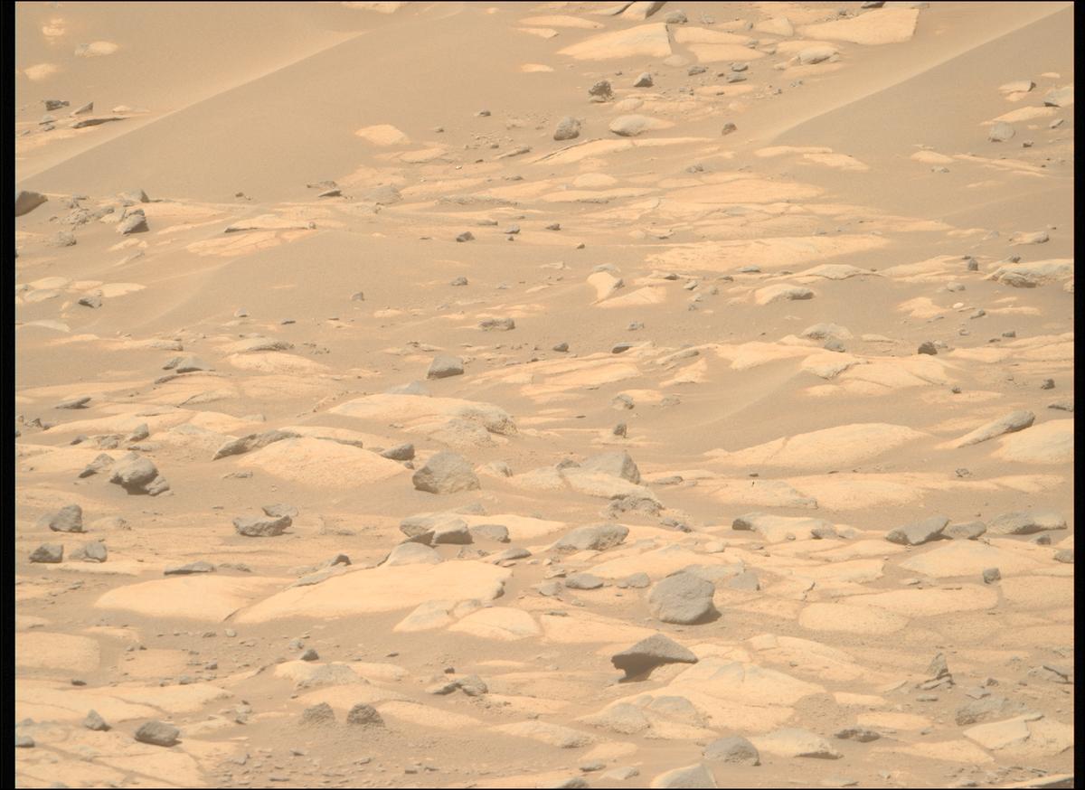 This image was taken by MCZ_RIGHT onboard NASA's Mars rover Perseverance on Sol 1037