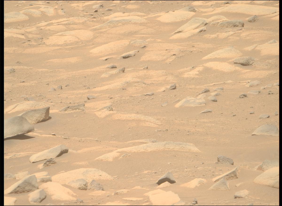 This image was taken by MCZ_RIGHT onboard NASA's Mars rover Perseverance on Sol 1037