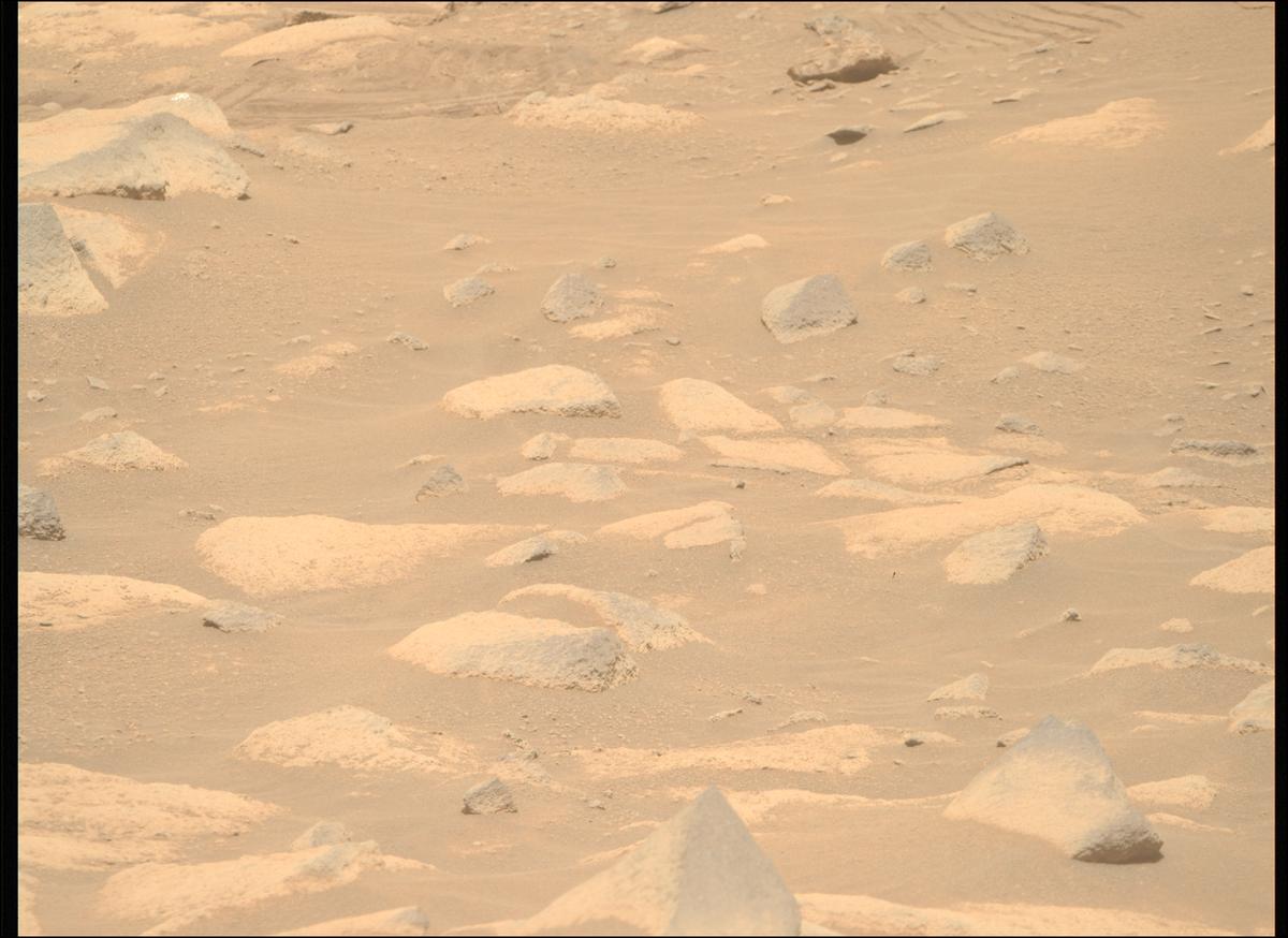 This image was taken by MCZ_RIGHT onboard NASA's Mars rover Perseverance on Sol 1037