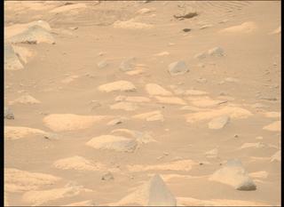 View image taken on Mars, Mars Perseverance Sol 1037: Right Mastcam-Z Camera