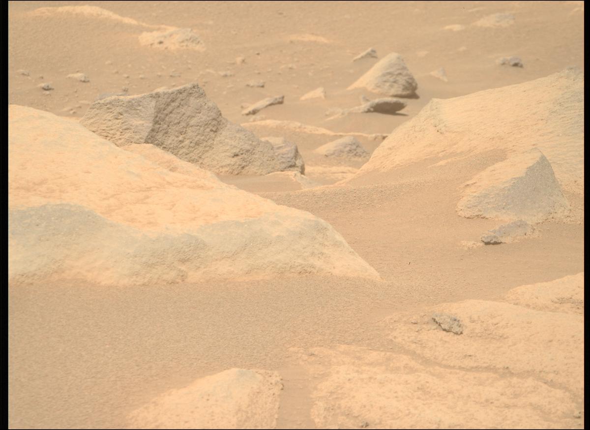 This image was taken by MCZ_RIGHT onboard NASA's Mars rover Perseverance on Sol 1037