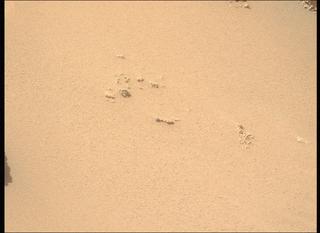 View image taken on Mars, Mars Perseverance Sol 1039: Left Mastcam-Z Camera