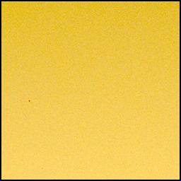 View image taken on Mars, Mars Perseverance Sol 1039: Left Mastcam-Z Camera