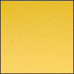 View image taken on Mars, Mars Perseverance Sol 1039: Left Mastcam-Z Camera