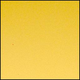 View image taken on Mars, Mars Perseverance Sol 1039: Left Mastcam-Z Camera