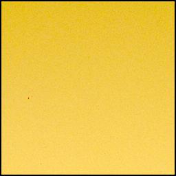 View image taken on Mars, Mars Perseverance Sol 1039: Left Mastcam-Z Camera