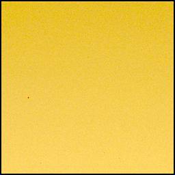 View image taken on Mars, Mars Perseverance Sol 1039: Left Mastcam-Z Camera