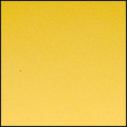 View image taken on Mars, Mars Perseverance Sol 1039: Left Mastcam-Z Camera